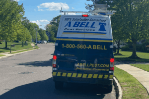Haddon Heights Pest Control Companies 2