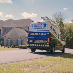 Berlin Pest Control Companies 2