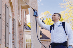 Pennsauken Pest Control Companies 2