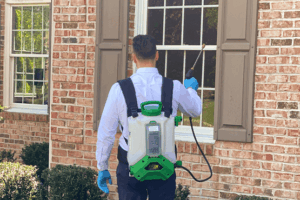 Bellmawr Pest Control Companies 2