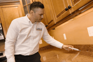 Pine Hill Pest Control Companies 2